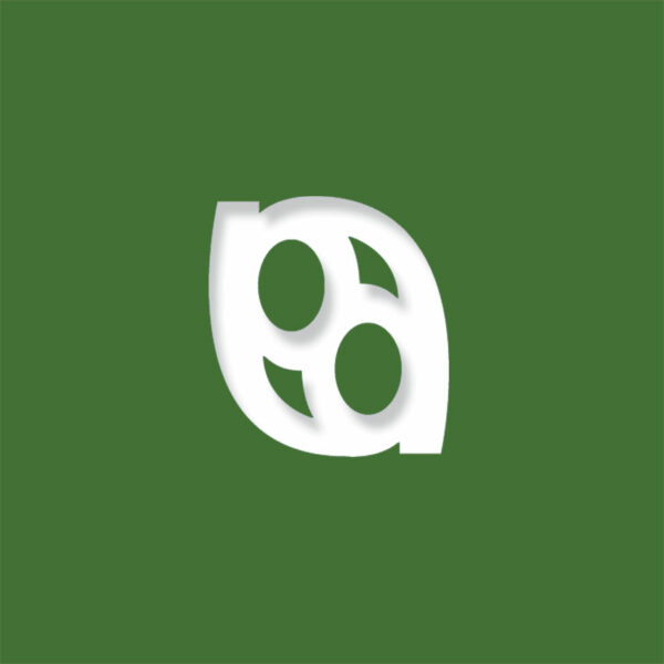 laser logo evergreen