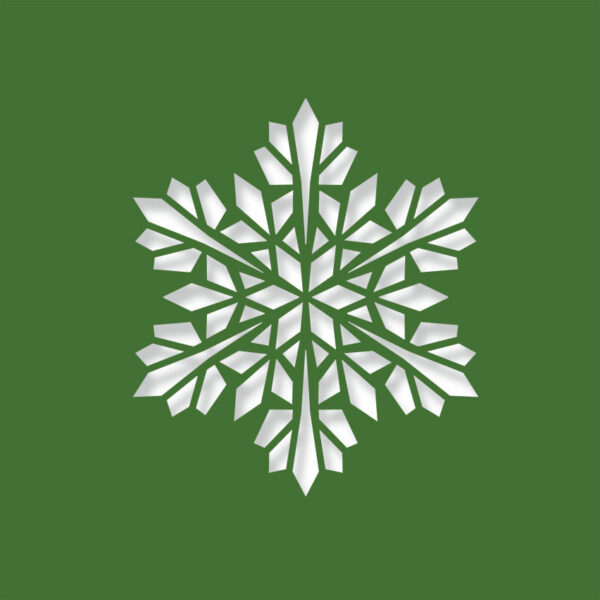 modern snowflake evergreen