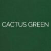 laser cut cactus green 1