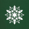 floral snowflake cact