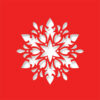 floral snowflake chilli