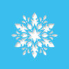 floral snowflake light blue
