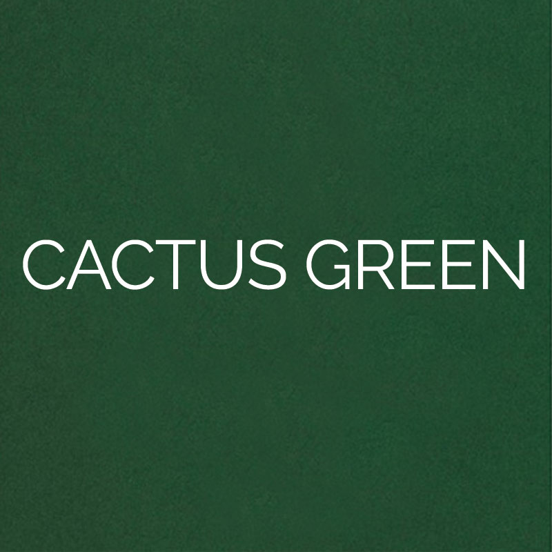 laser cut cactus green 1