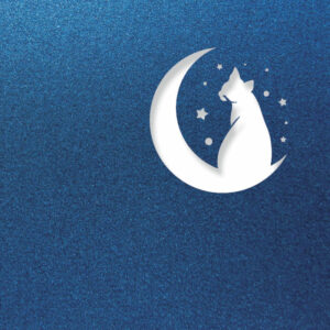 Half Moon Cat