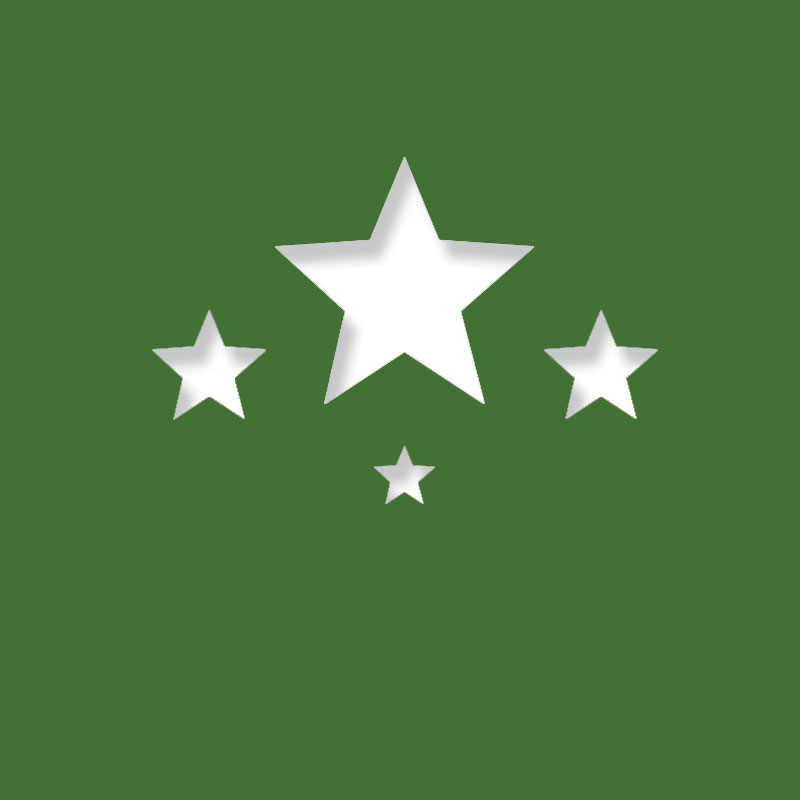 star shine evergreen