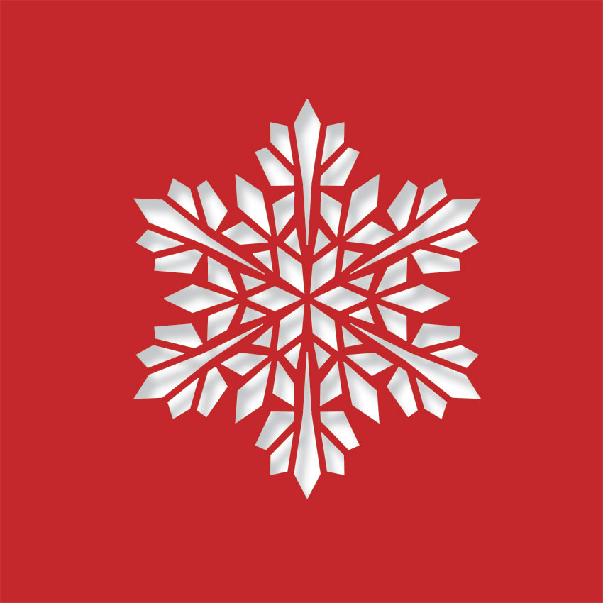 Modern Snowflake - Image 5